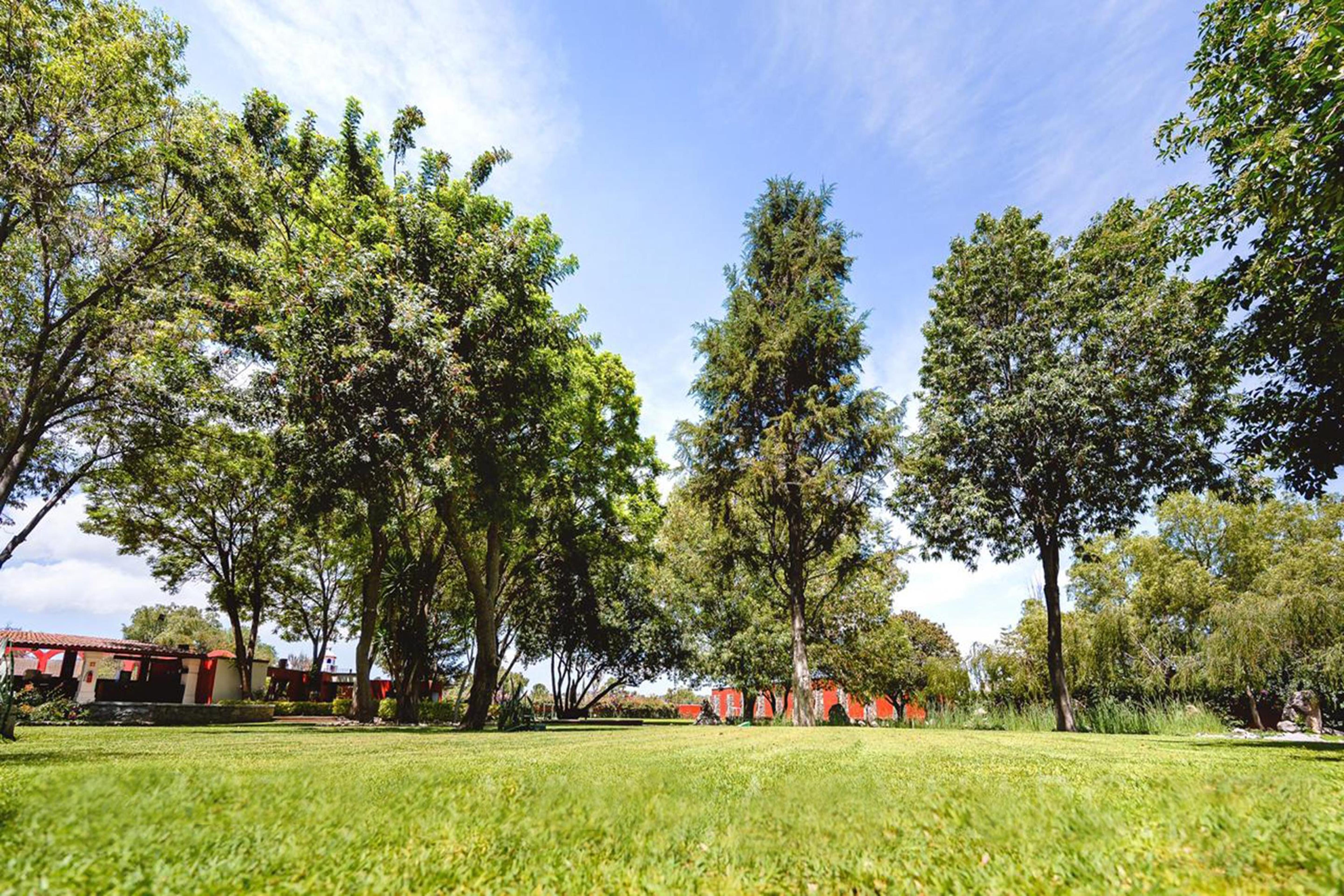 Real De Minas San Miguel De Allende Kültér fotó The park