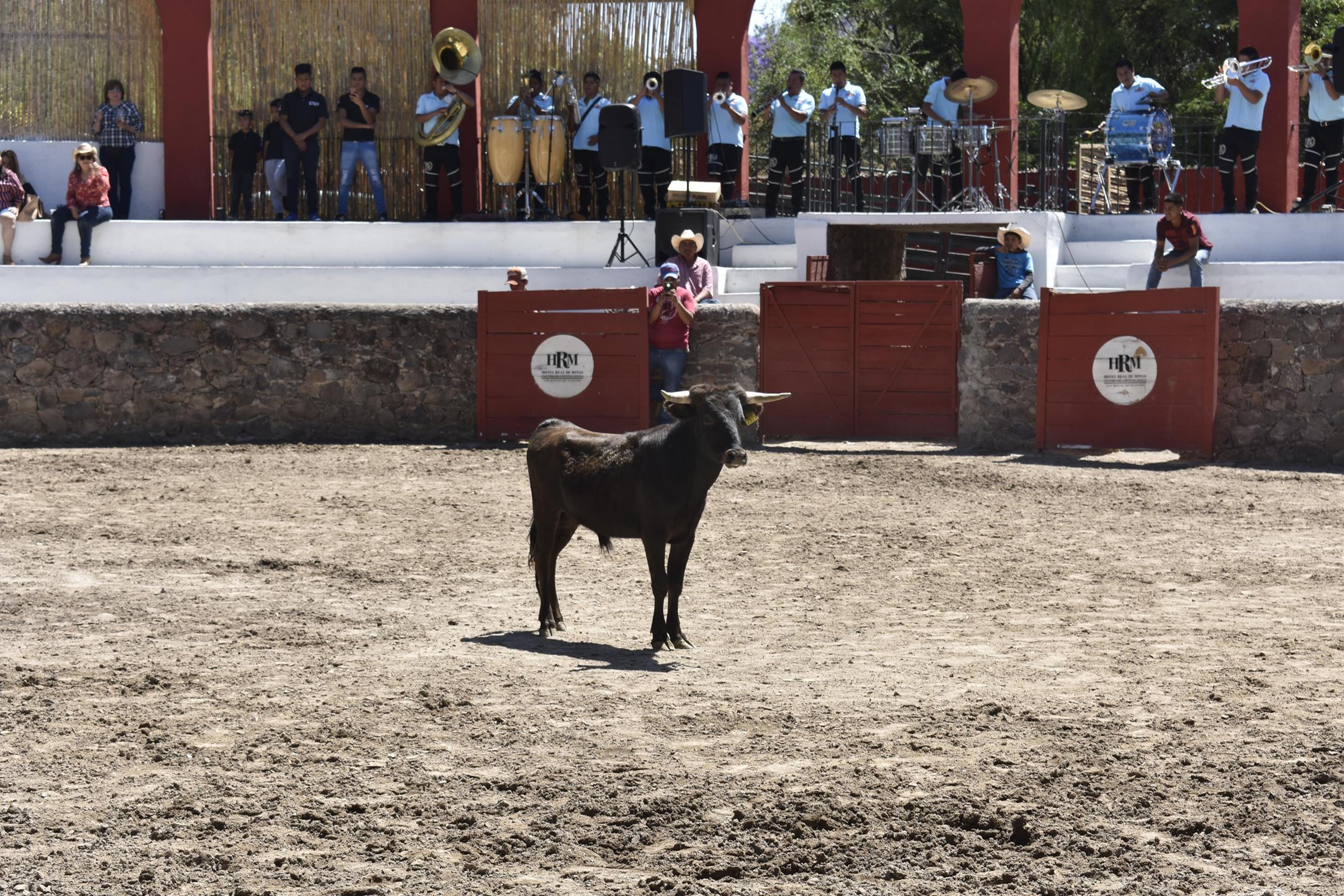 Real De Minas San Miguel De Allende Kültér fotó A bull in the bullring